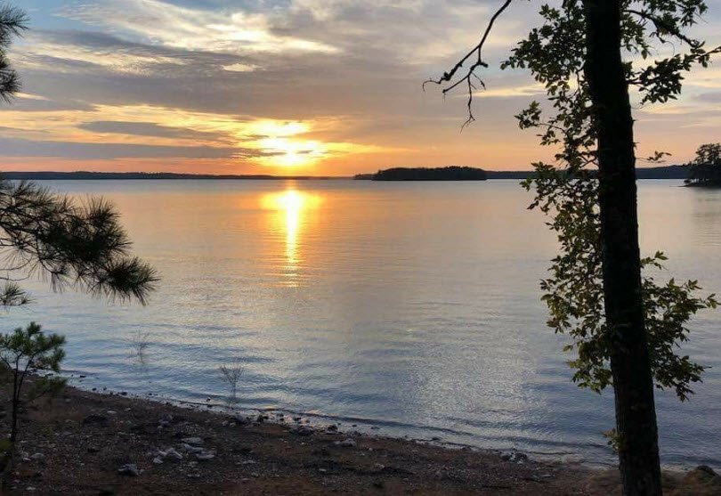 Hamilton Branch State Park, South Carolina, USA